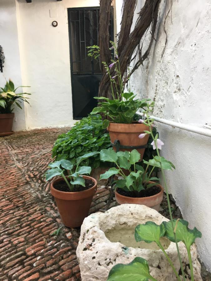 チンチョン Casa San Roque Bed & Breakfast エクステリア 写真